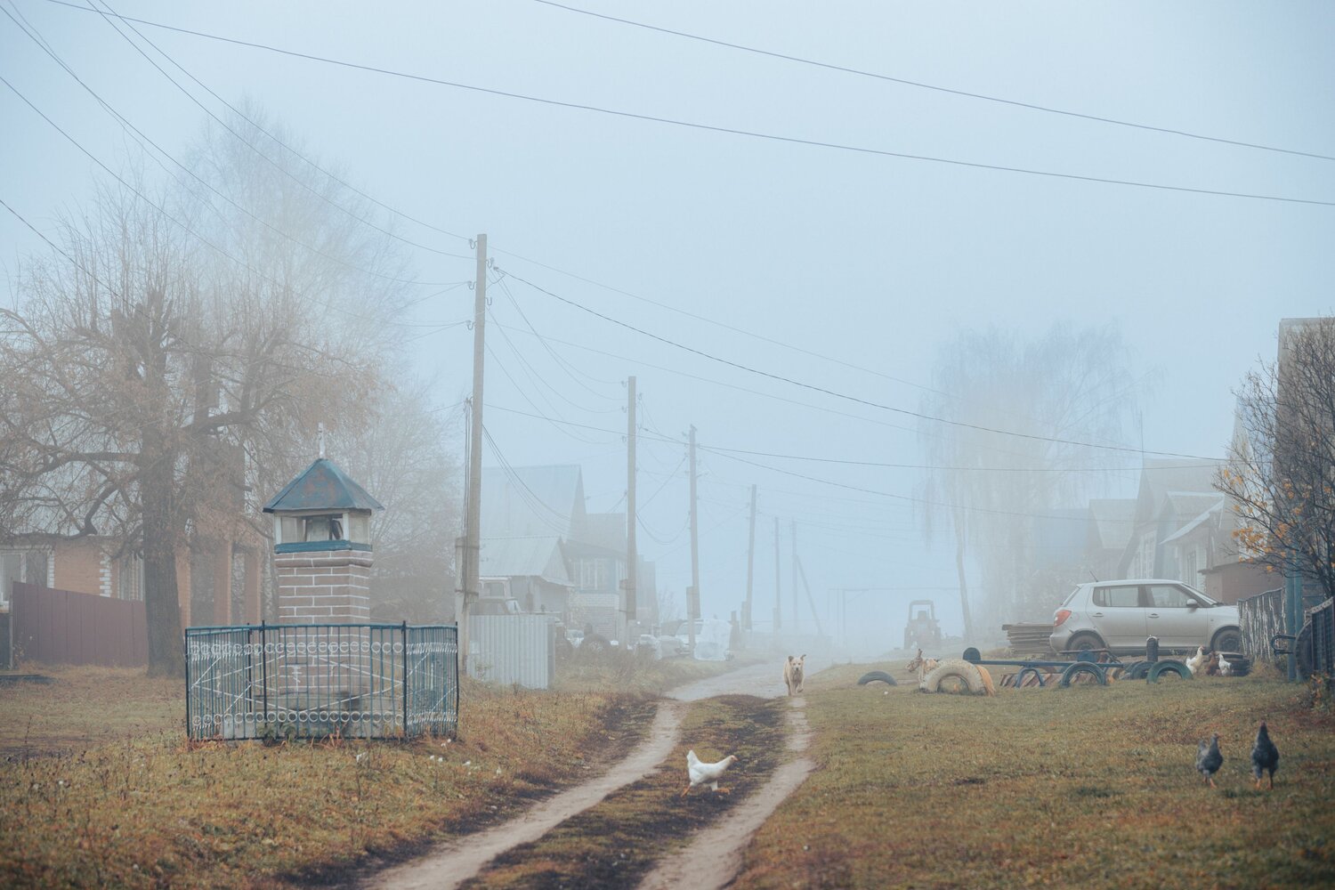 Photo #13838362
