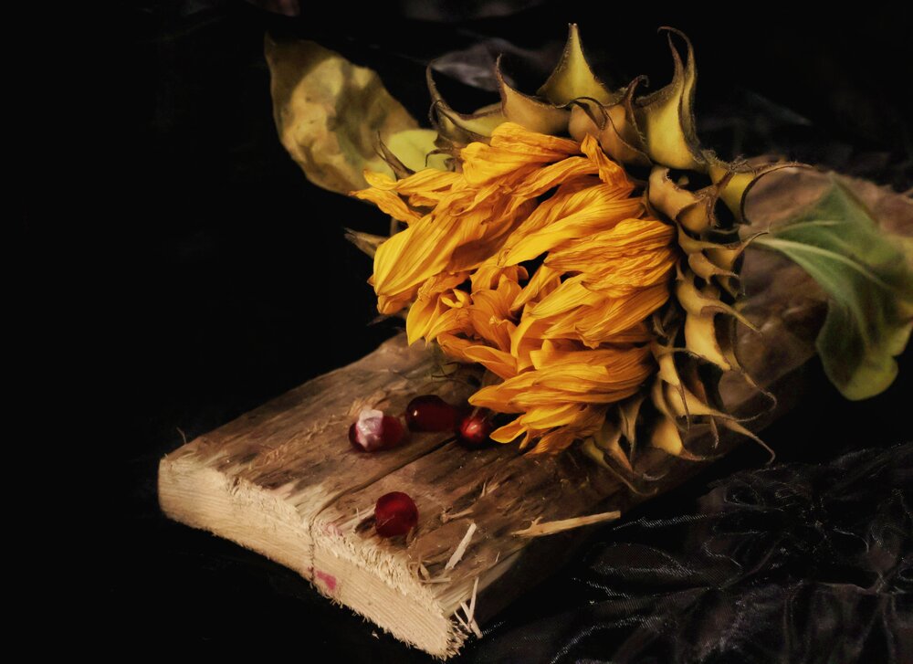Photograph by Olga Asson