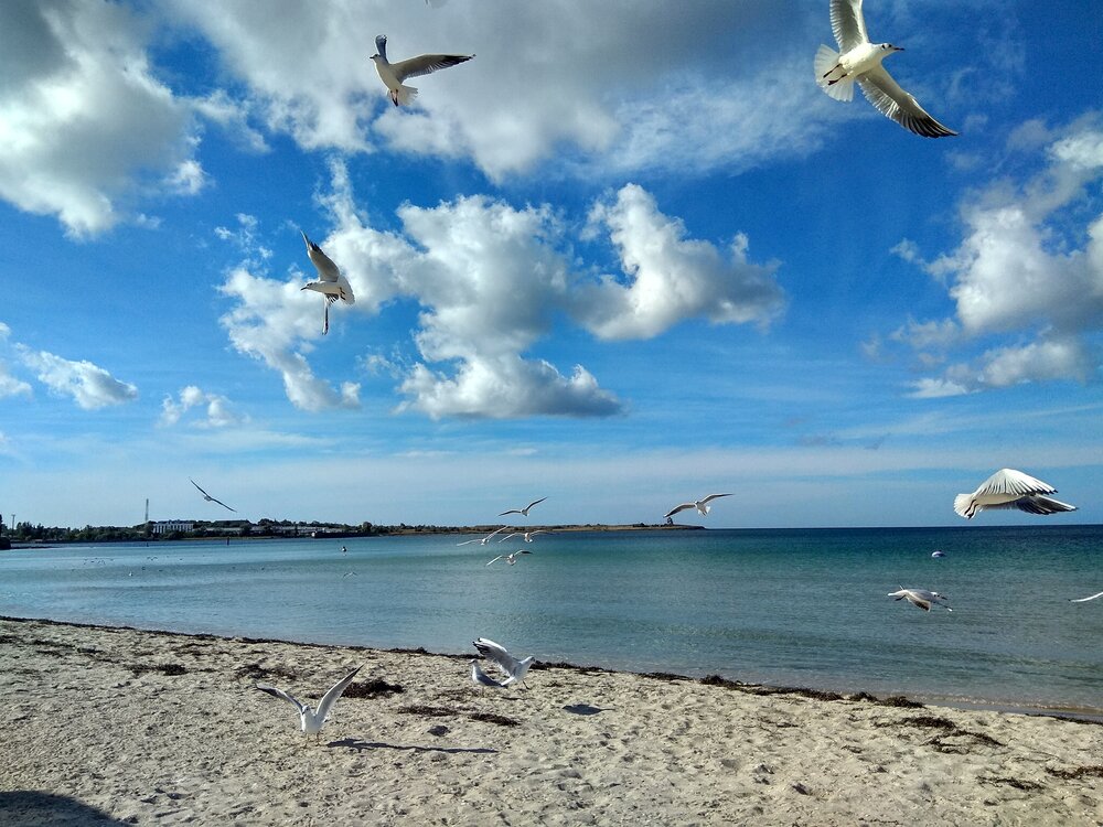 Photograph by Татьяна Петренко