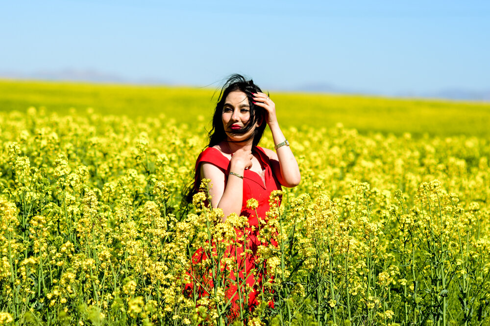 Photograph by Ehsan Fathi