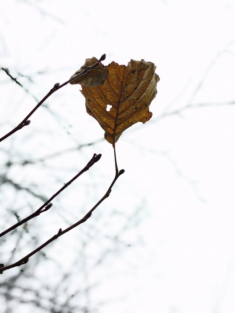 Photograph by Сергей Александрович