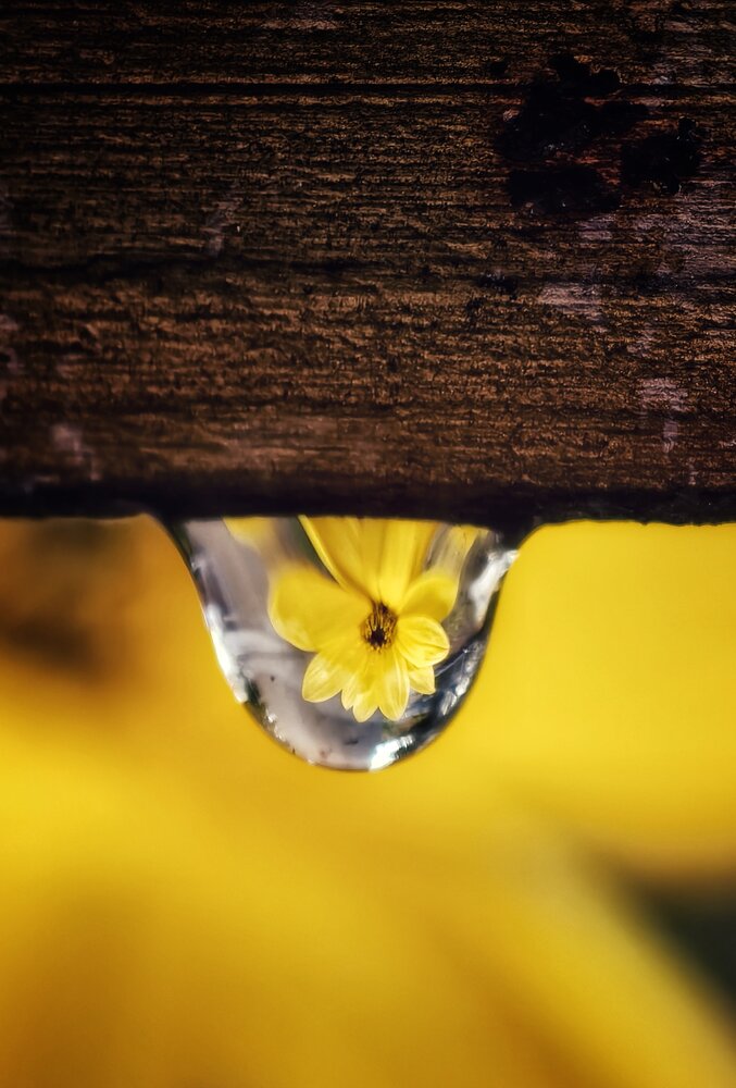 Photograph by Natalia Bolotenkova