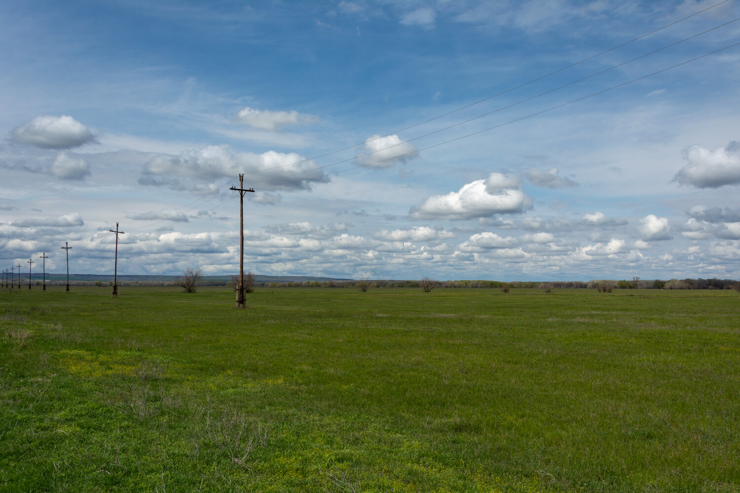 Photo #13838736