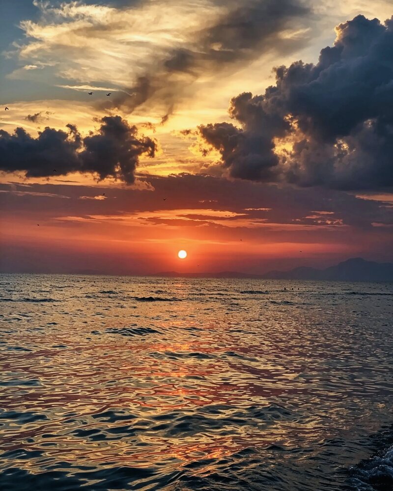 The Sunset