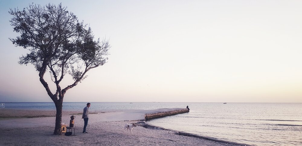 Photograph by fuat cimok