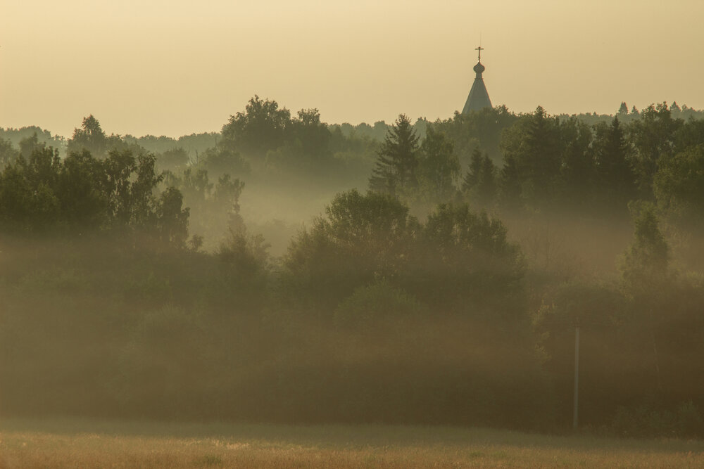 Фотография автора 