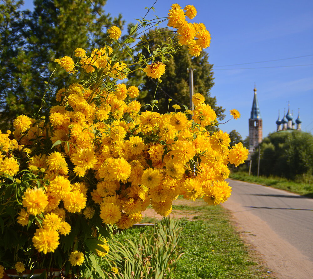 Photograph by Валерий Толмачев