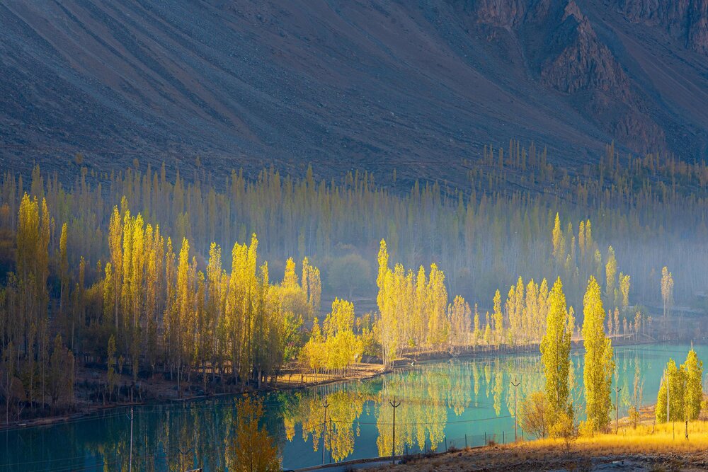 Photograph by Afzal Khan