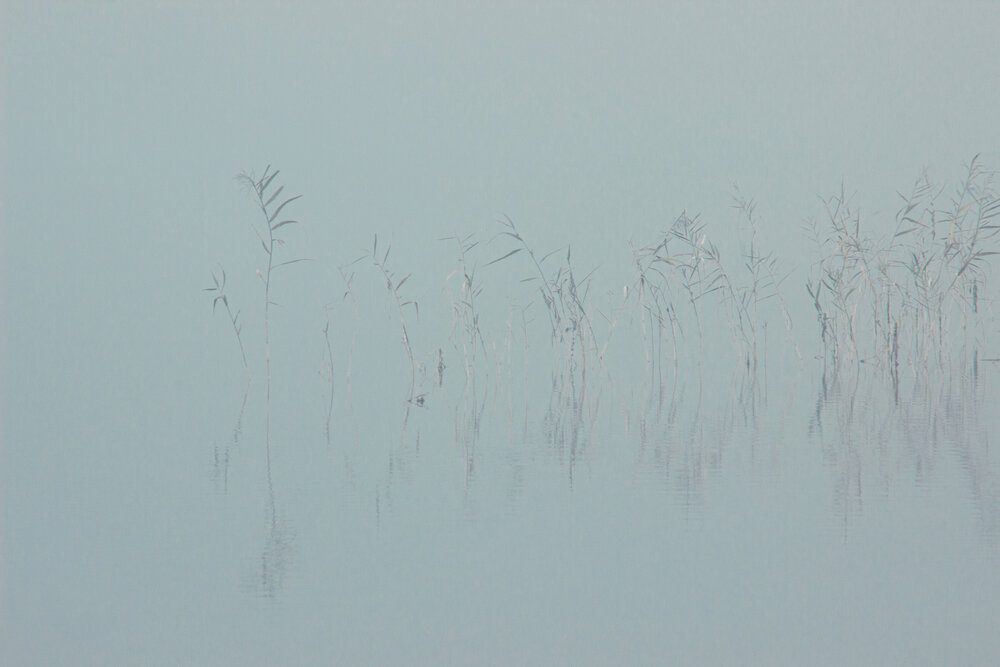 Photograph by Ольга Степанова