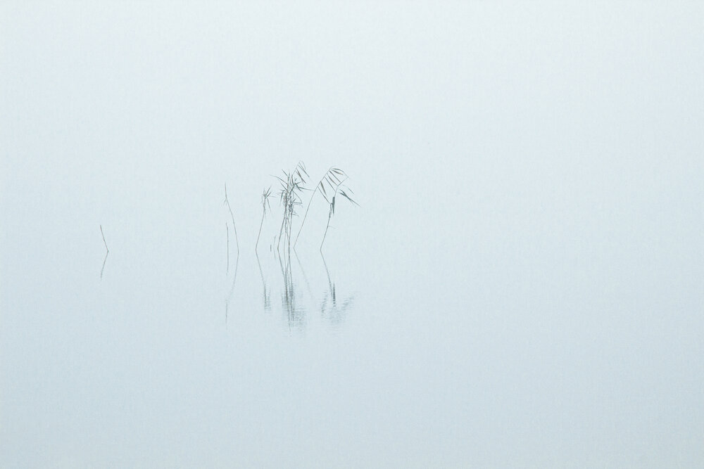 Photograph by Ольга Степанова