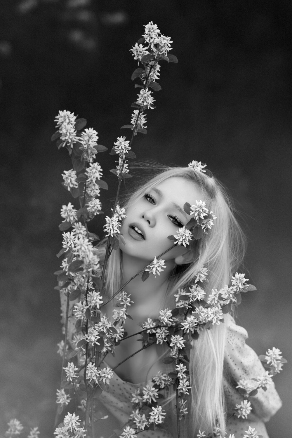 Photo #13839134
