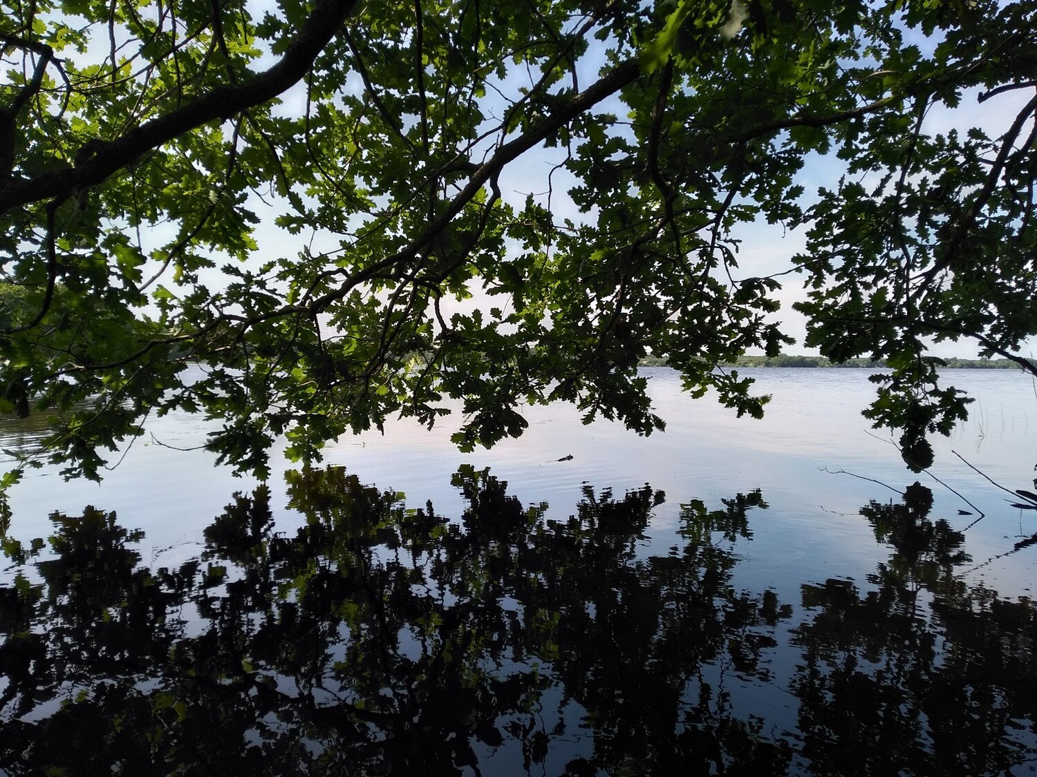Photo #13839177