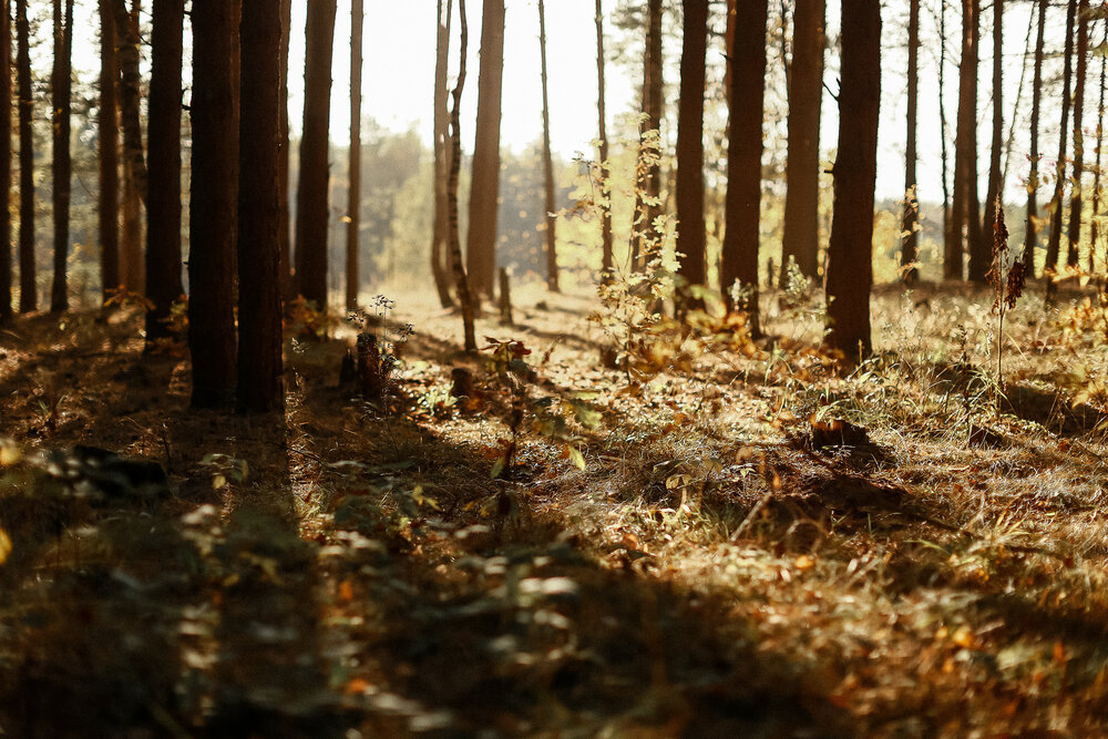 Photograph by Анастасия Китаева