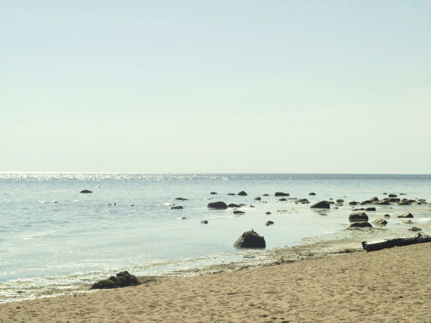Photo #13839204
