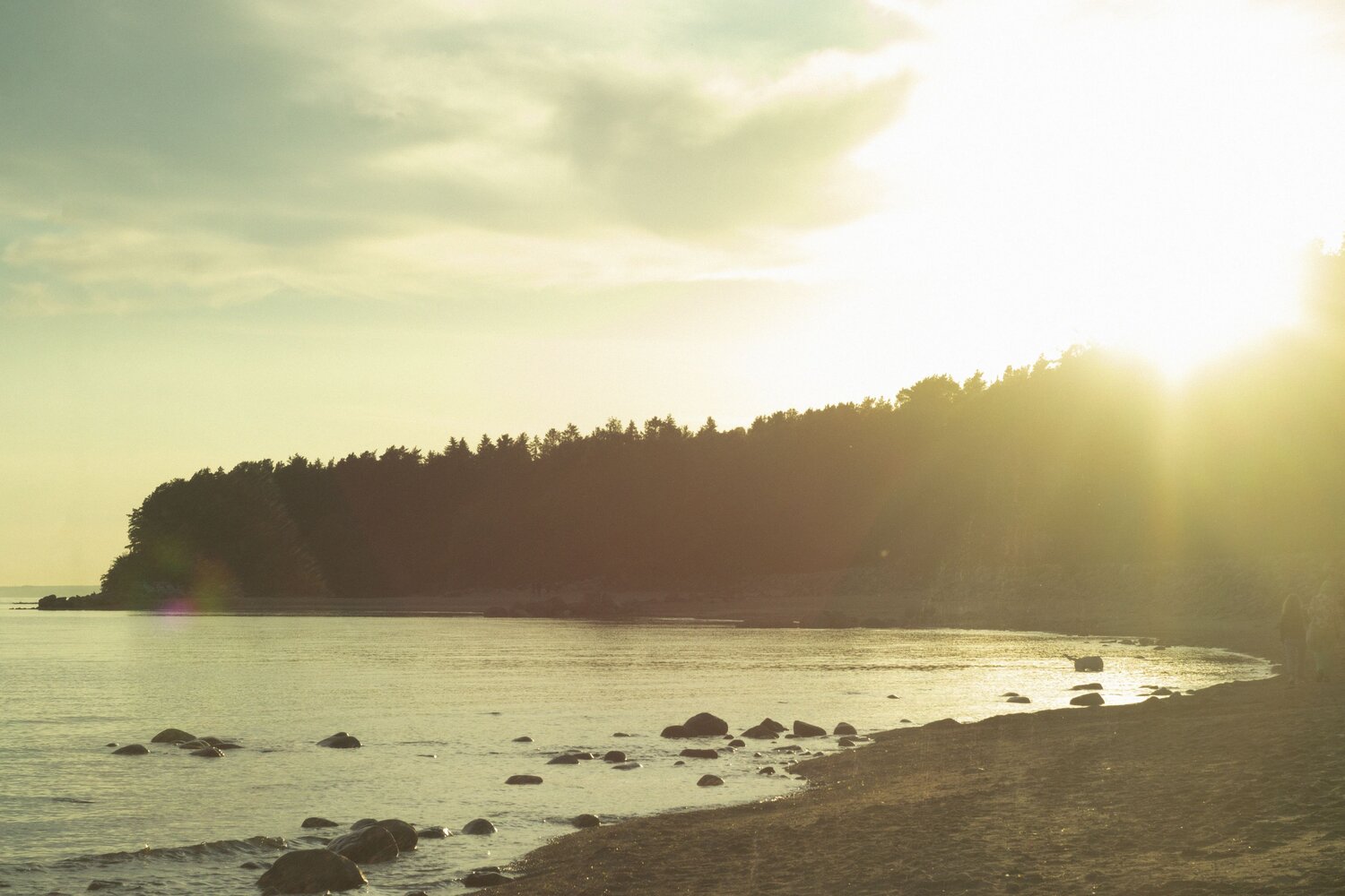 Photo #13839211