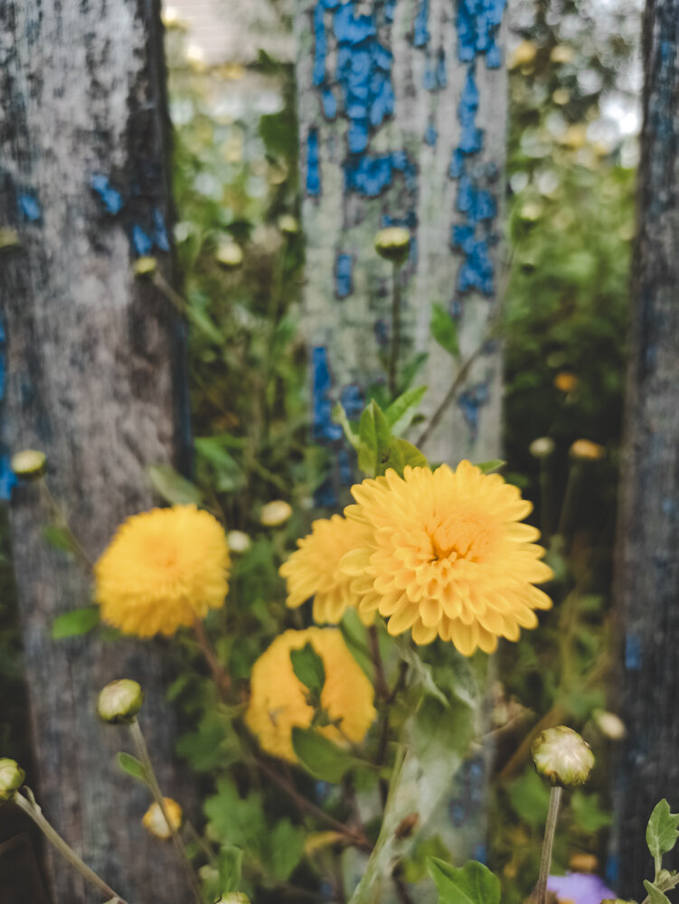 Photograph by Анастасия Май