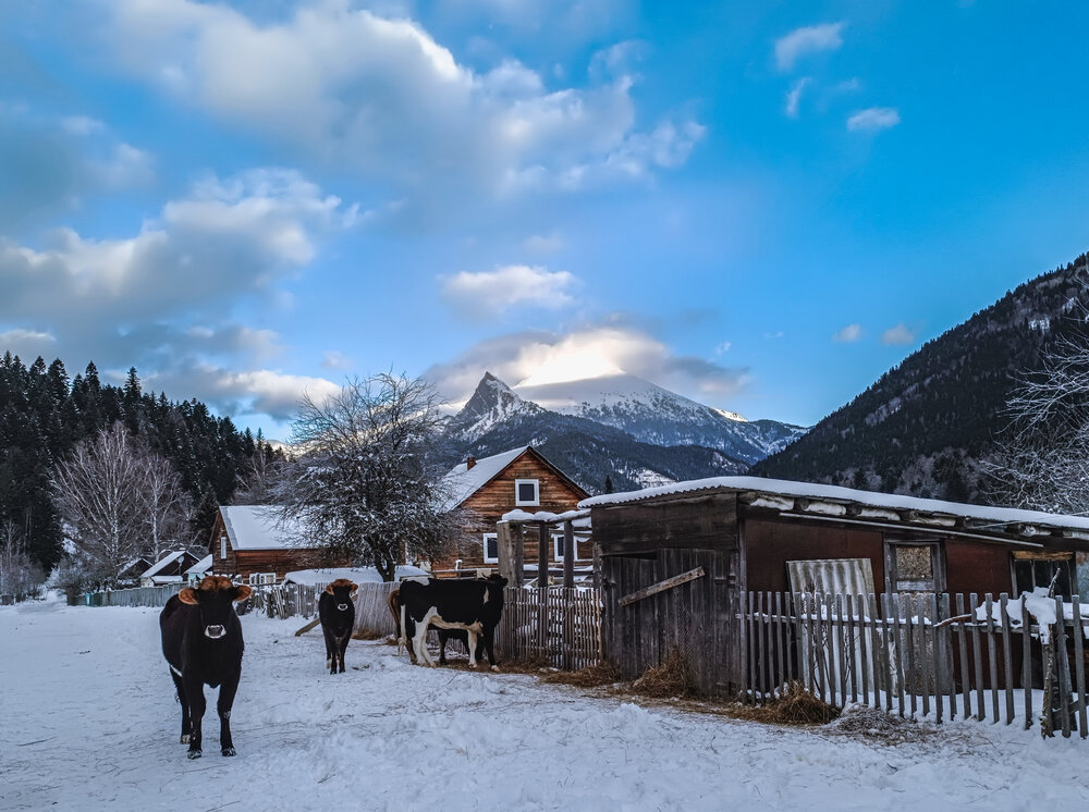 Photograph by OXANA NAUMOVA