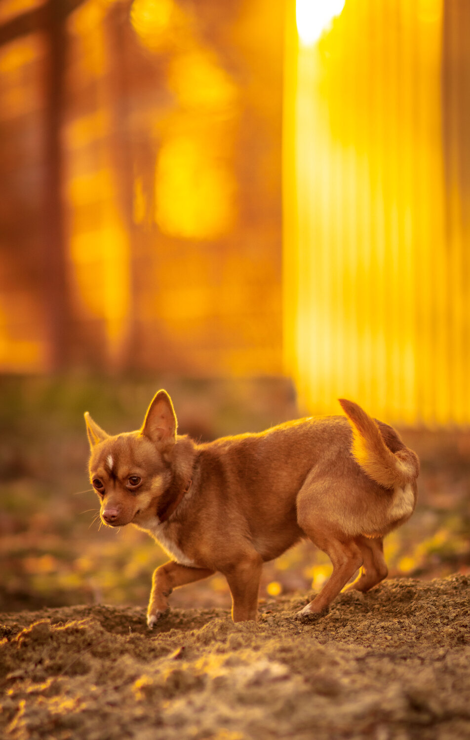 Photo #13839450