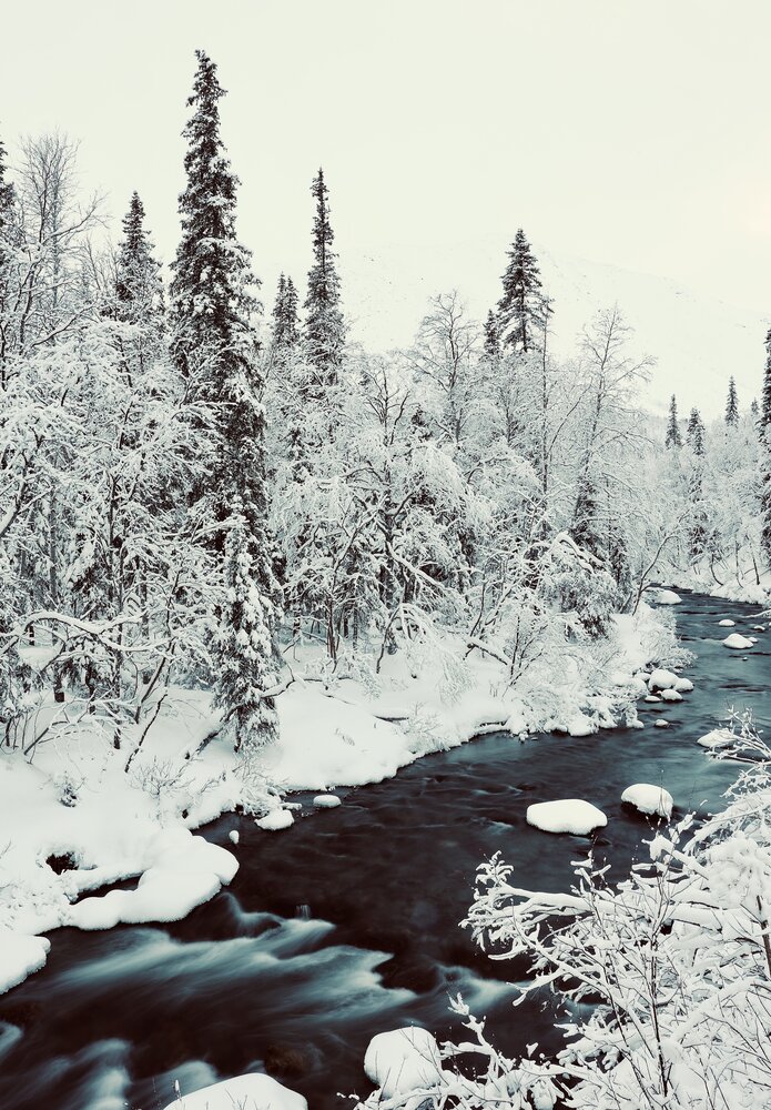 Фотография автора Леонид Голубков