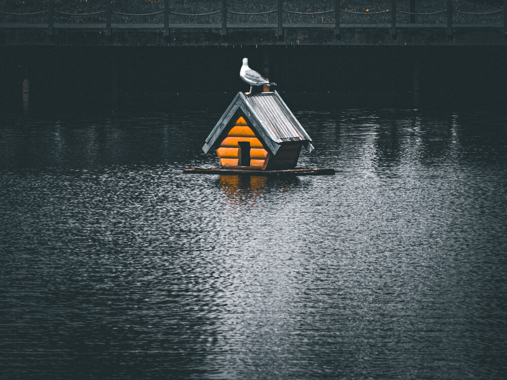 Photograph by Анастасия Юрьева
