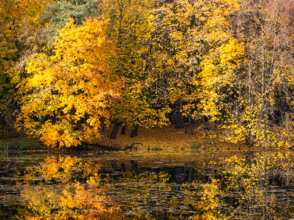 Photograph by Протасова Елена