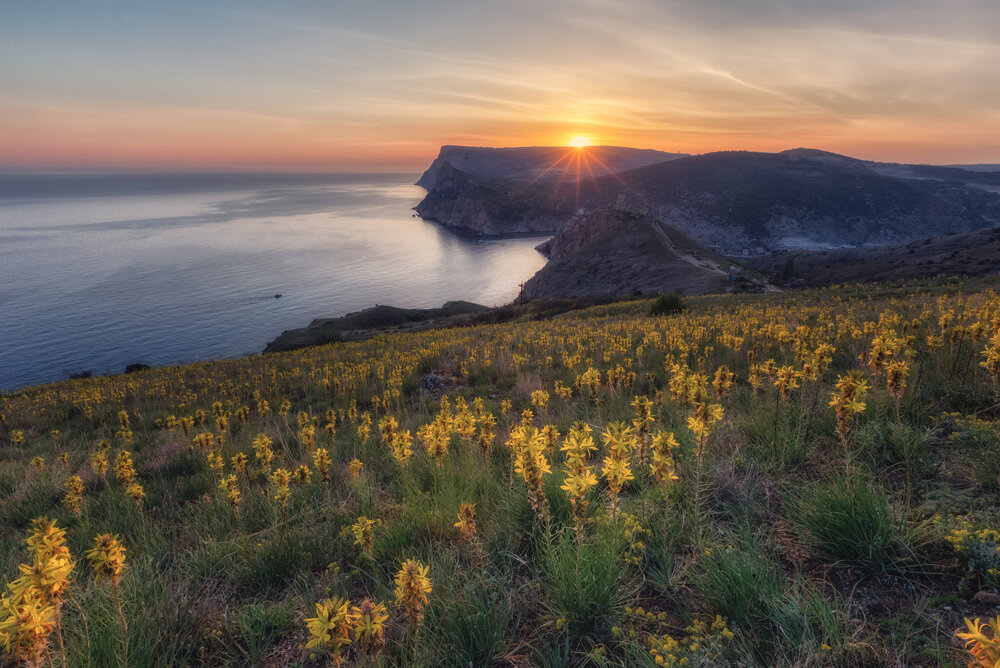 Фотография автора Дмитренко Екатерина