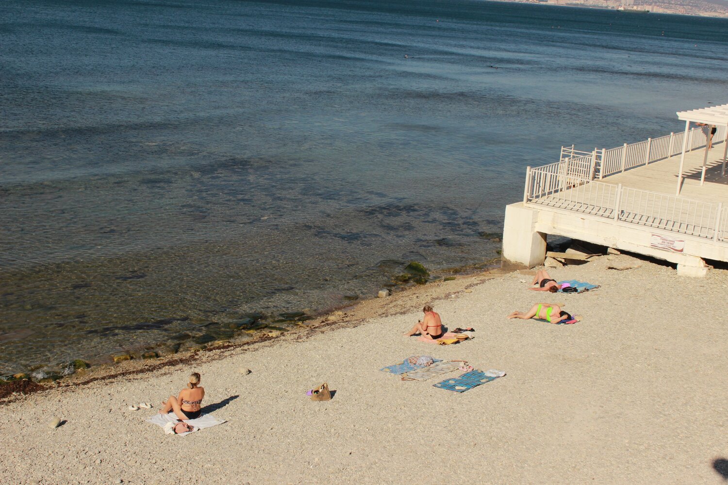 Photo #13839608