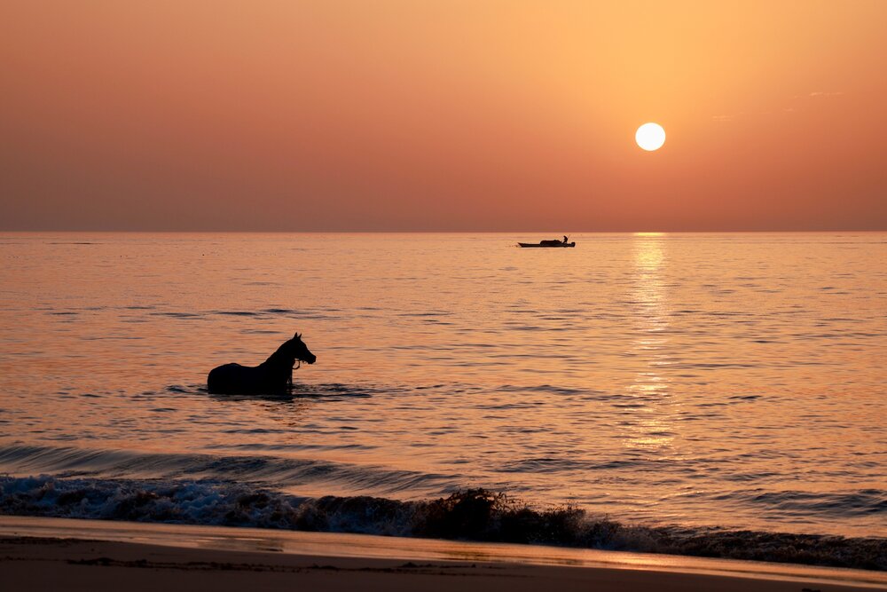 Photograph by Lyudmila Klimanova