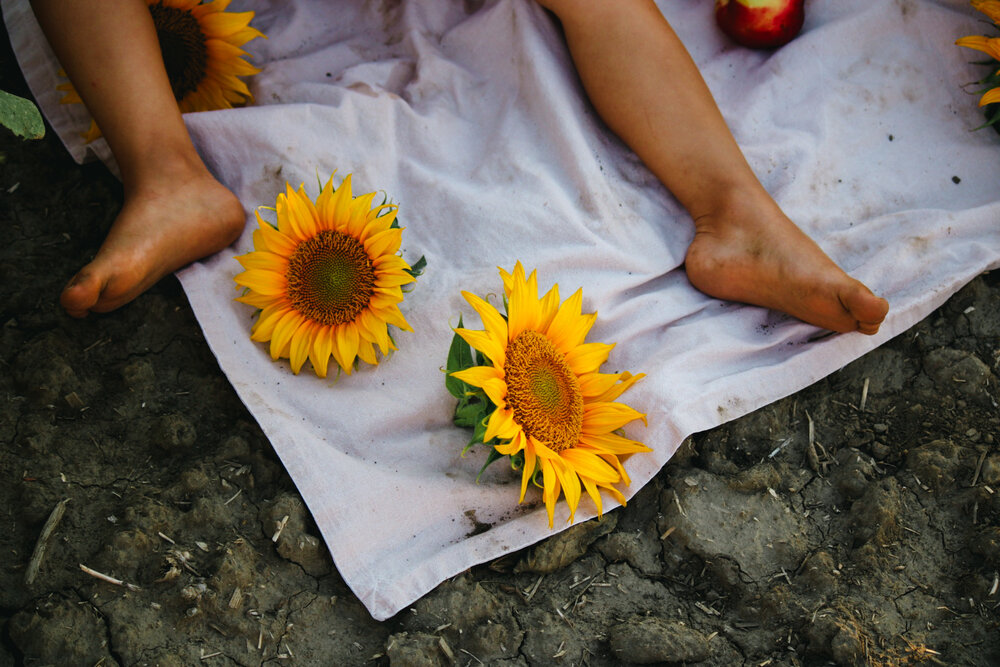 Photograph by Bojana Vein