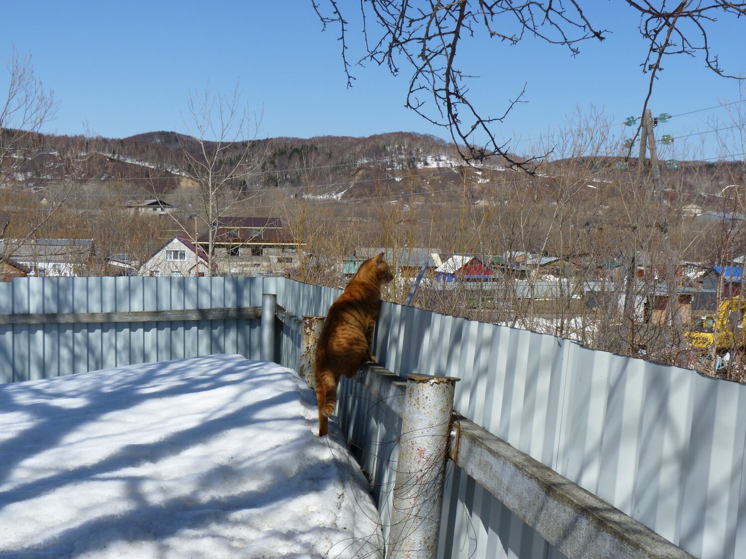 Photo #13839765