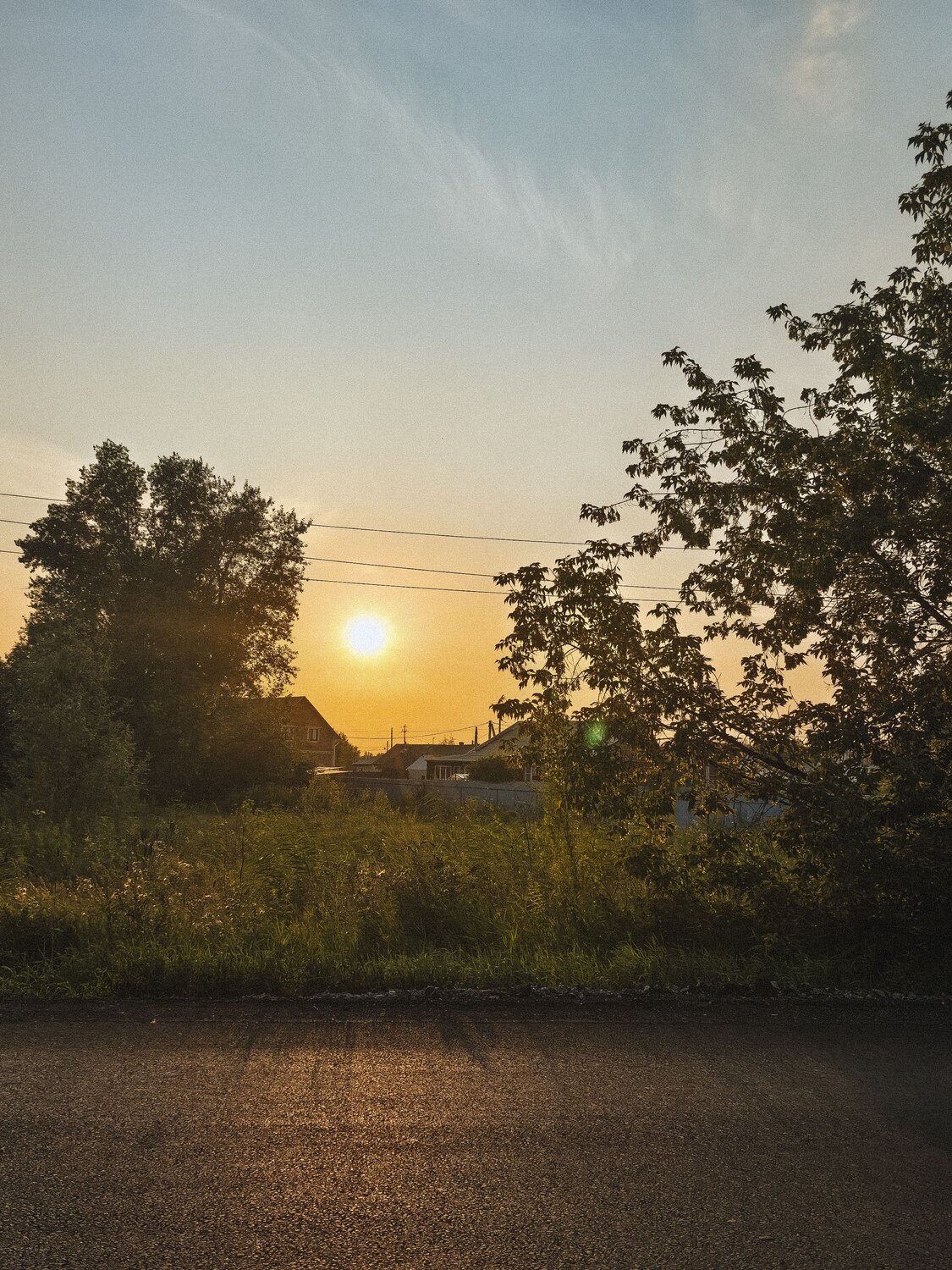 Photo #13839787