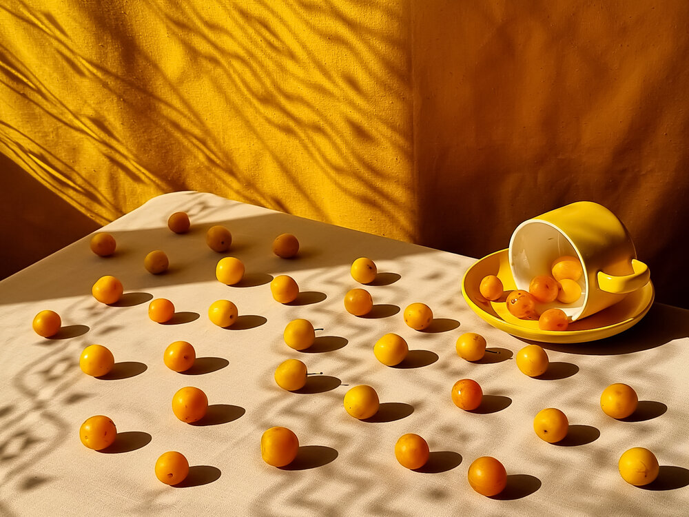 Photograph by Галина Гельфман