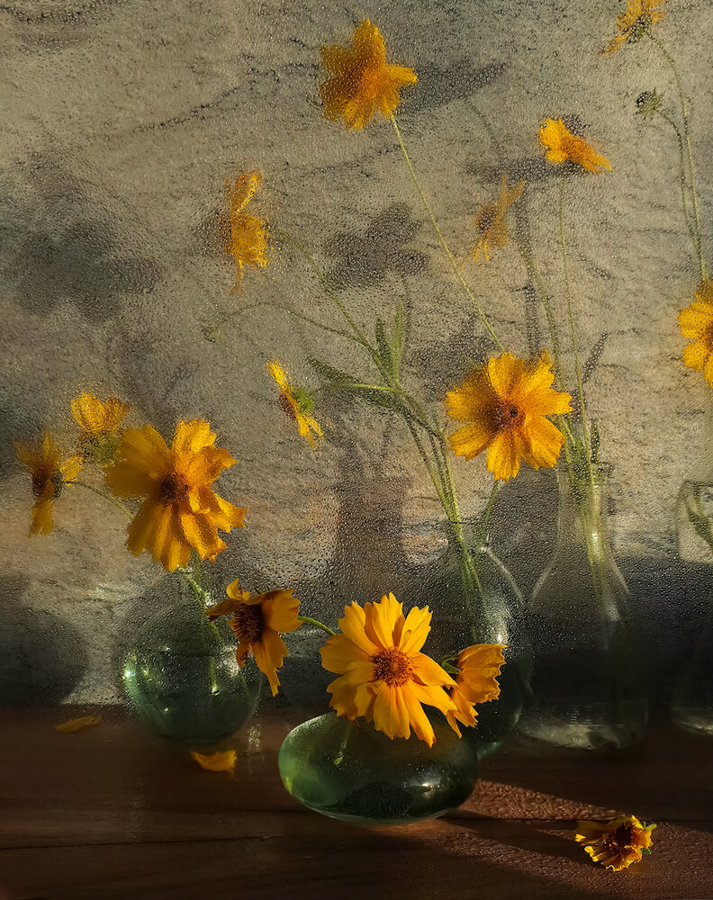 Photograph by Галина Гельфман