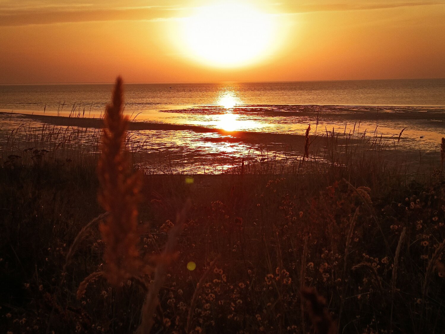 Photo #13839807
