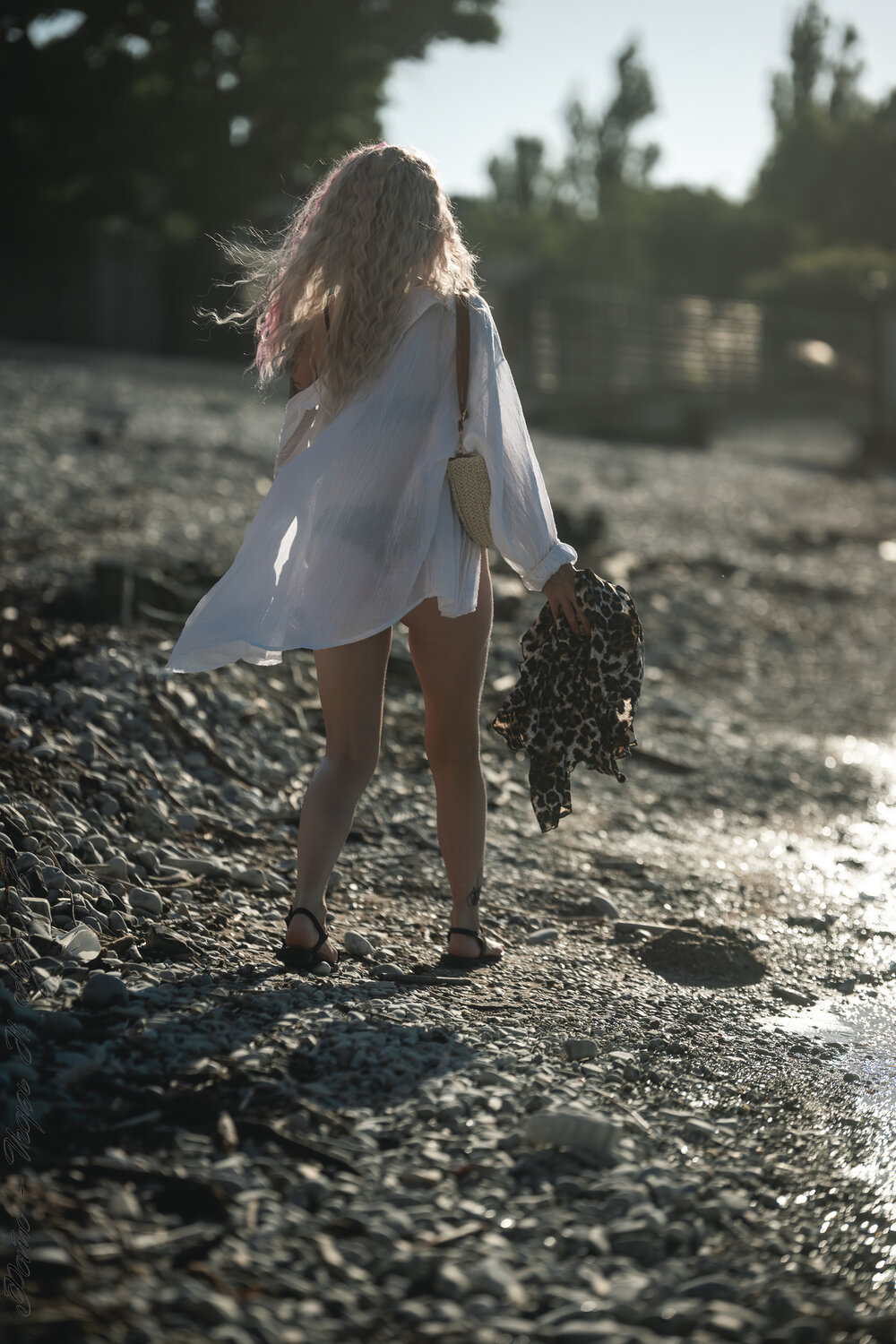 Photo #13839868