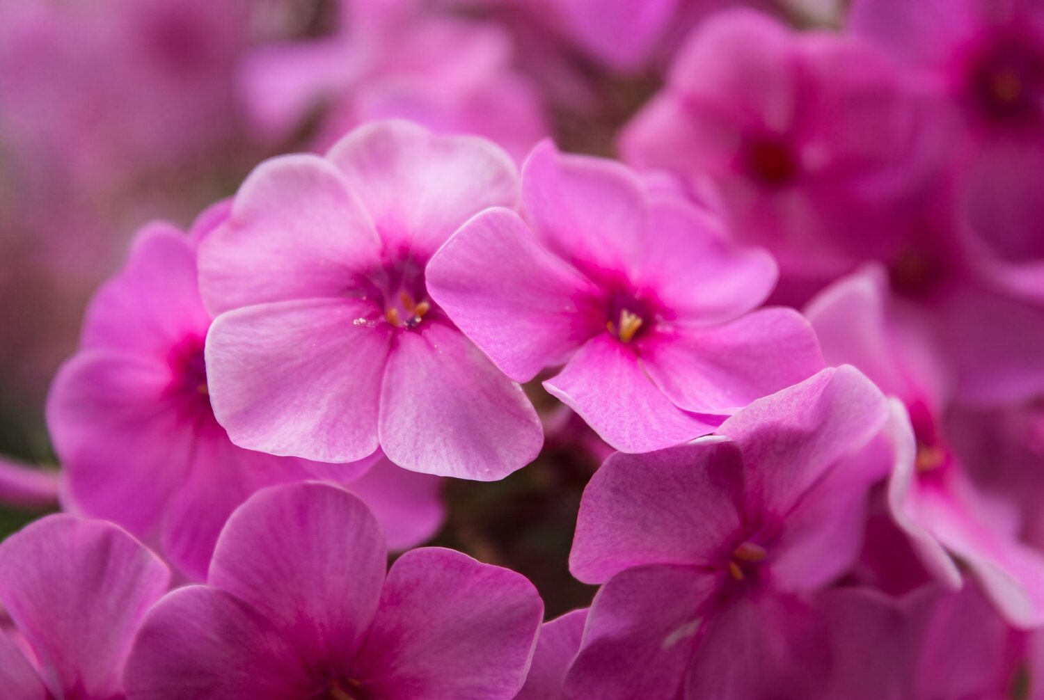 Photo #13839879