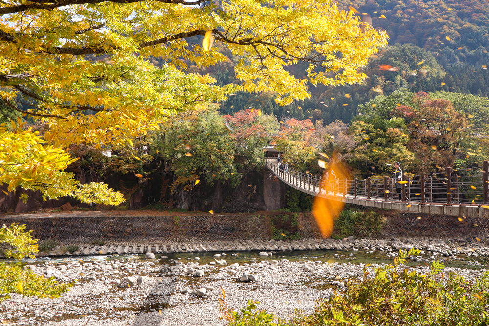 Photograph by Gunma No UMA