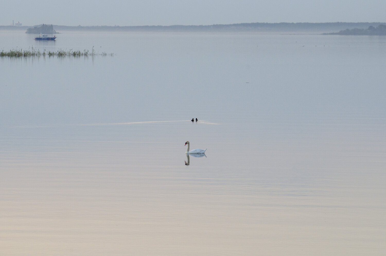 Photo #13839896