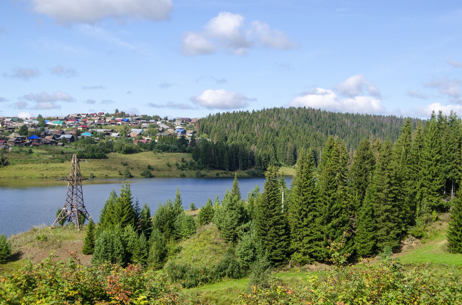 Photo #13839916