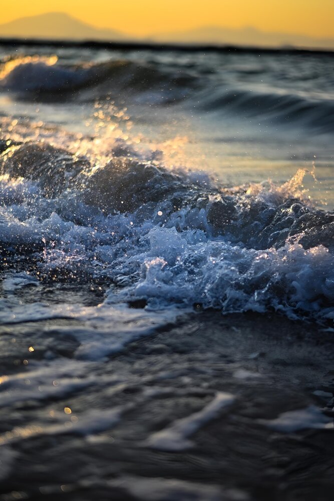 Golden Tide