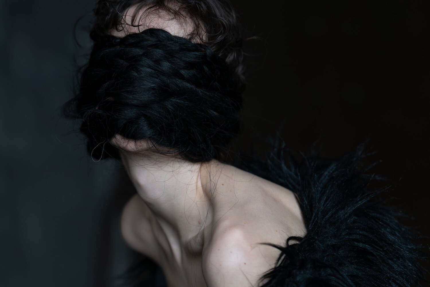 Photo #13839968