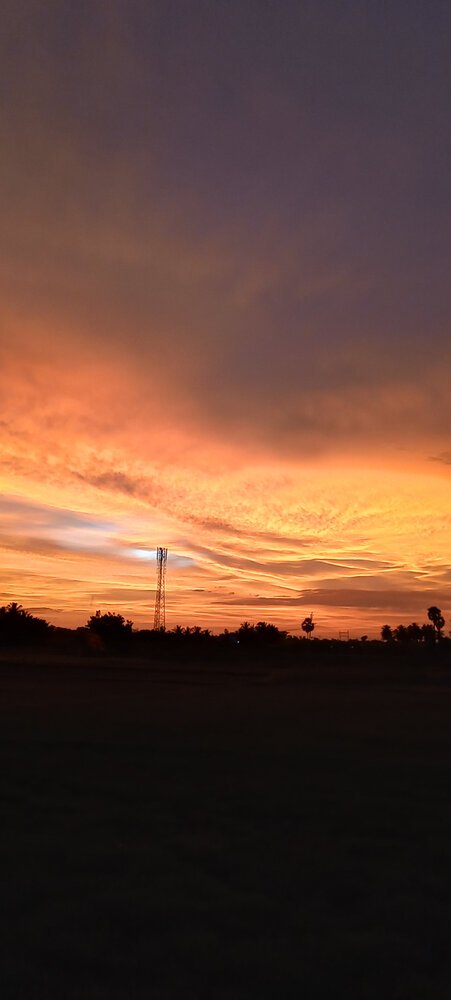 Photo #13839988