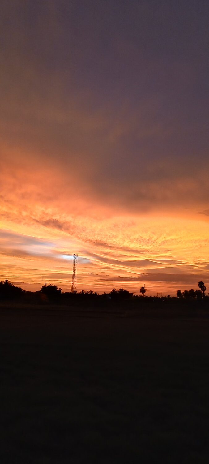 Photo #13839988
