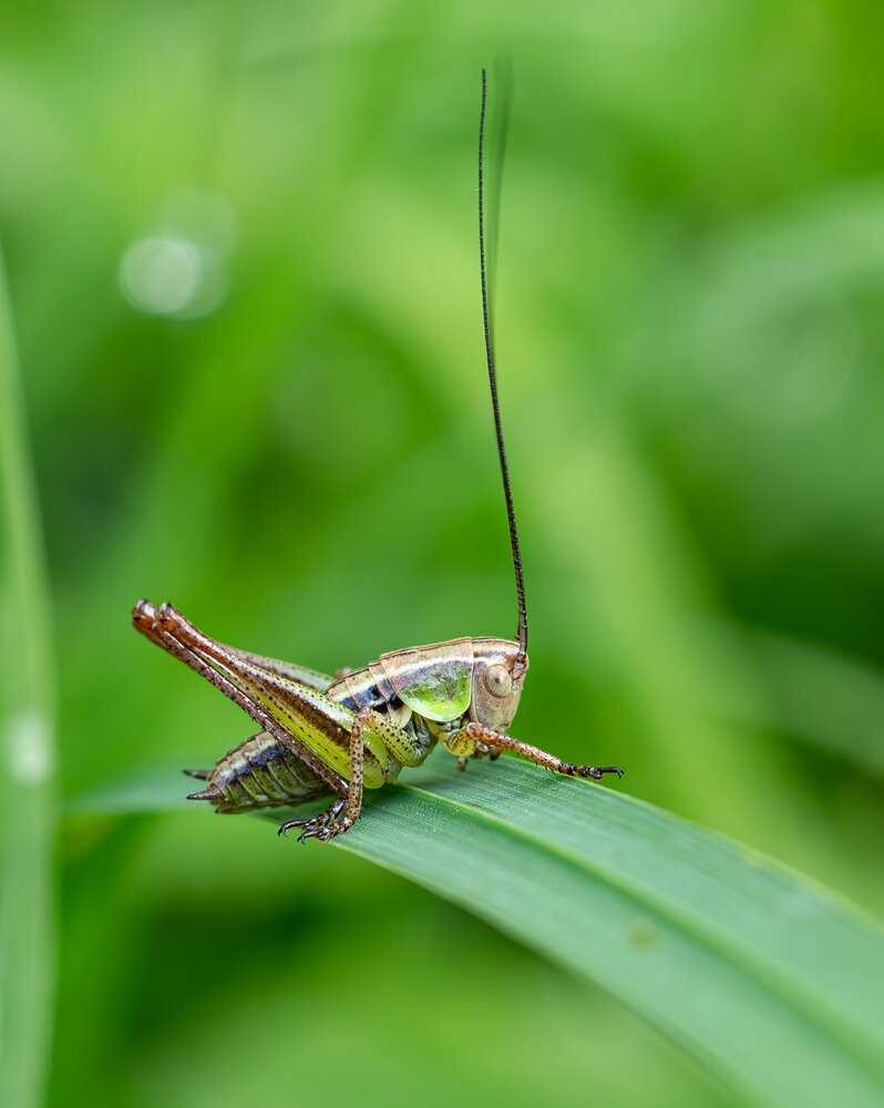 Photograph by Елена Харитонова