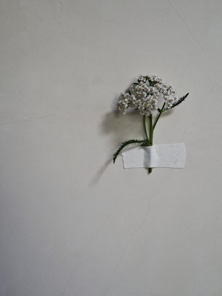 Photo #13840003