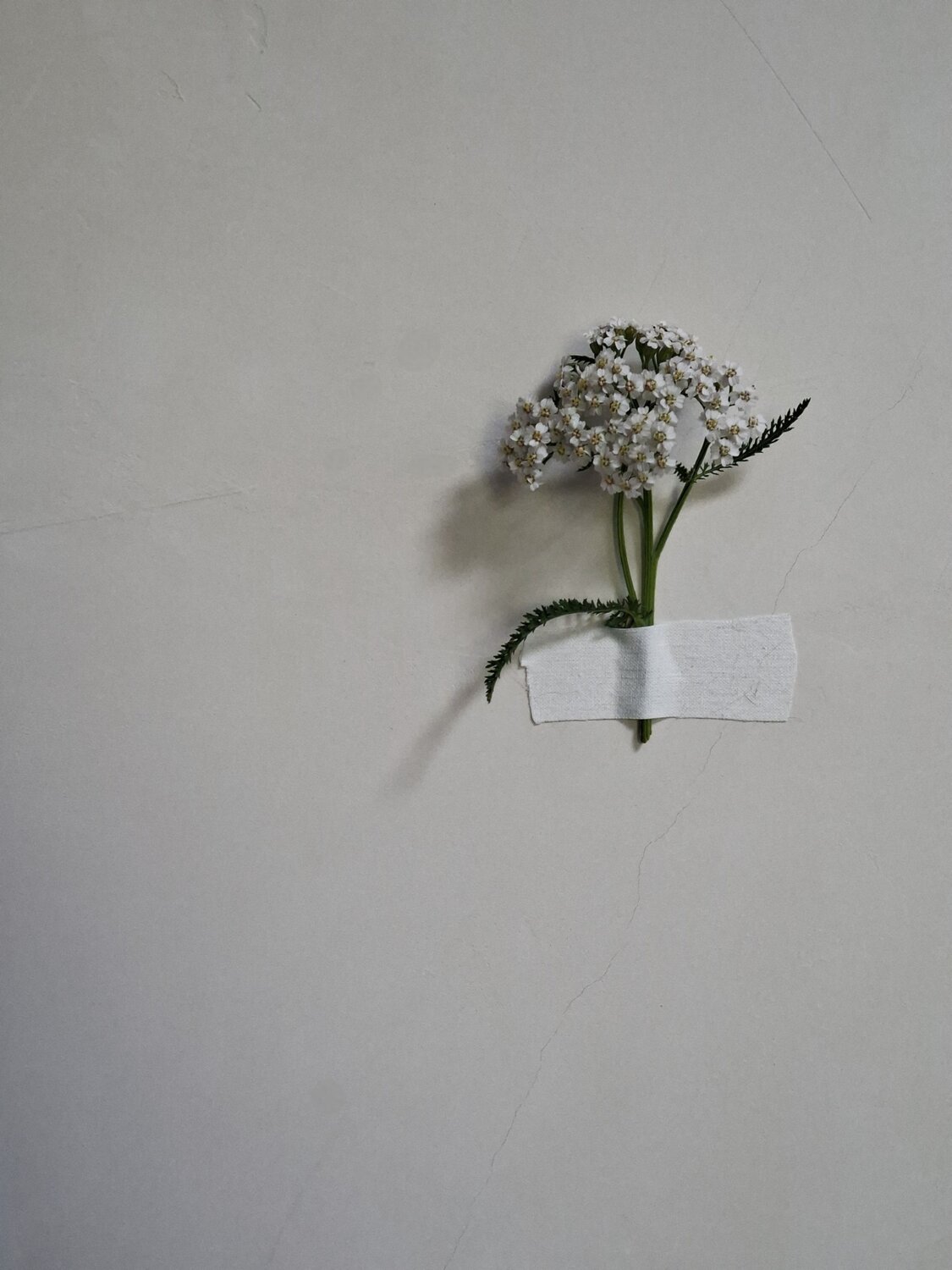 Photo #13840003