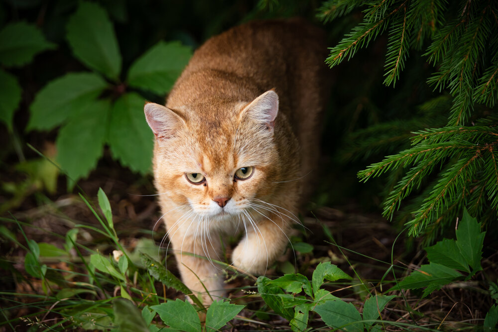 Photograph by Мария