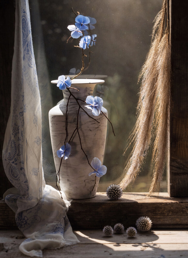 Photograph by Olga Schmidt