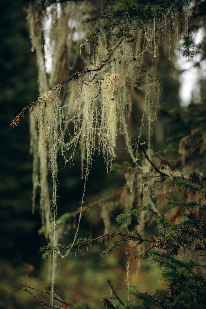 Photograph by Юлия Бирюкова