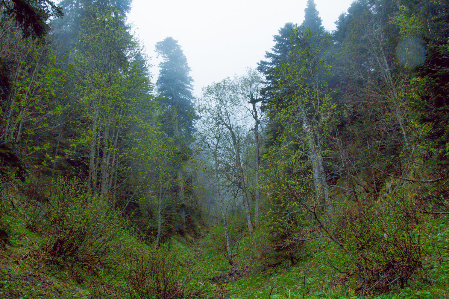 Photo #13840068